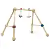 Infant Play Gym