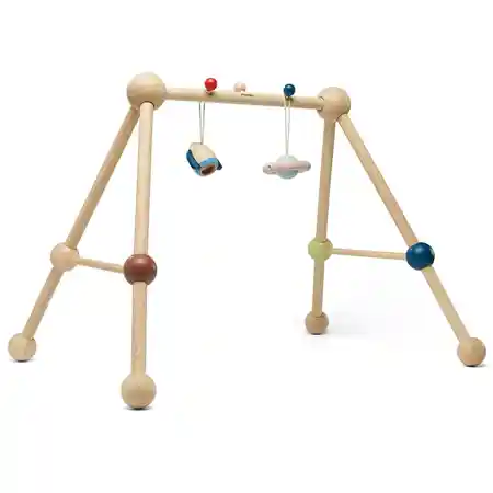 Infant Play Gym