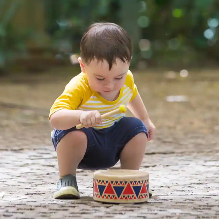 Wooden Instrument Set