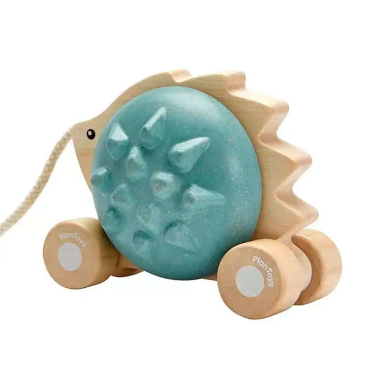 Pull-Along Hedgehog