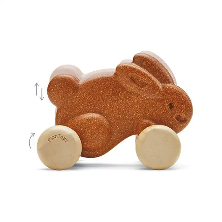 Push Along Bunny