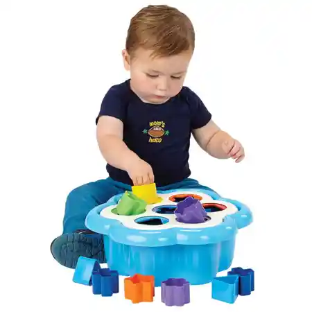 Daisy Shape Sorter