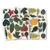 Crafty Paper Leaves