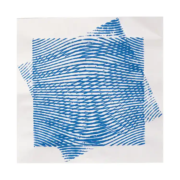 Optical Illusion Rubbing Plates