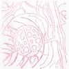 Bugs Rubbing Plates