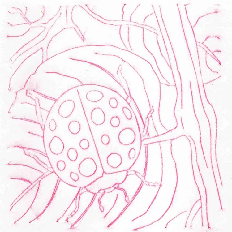 Bugs Rubbing Plates
