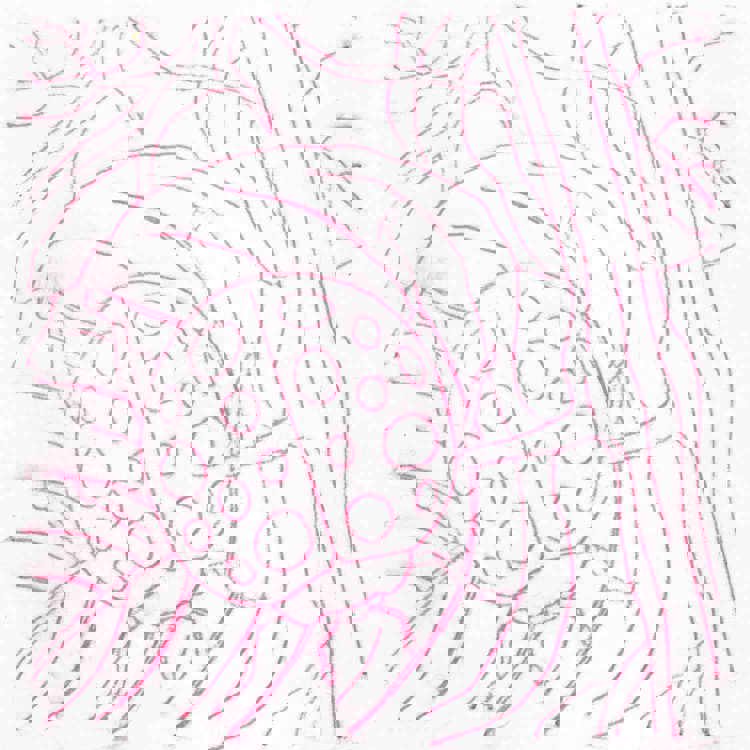 Bugs Rubbing Plates