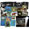 What's Inside Animals Photos