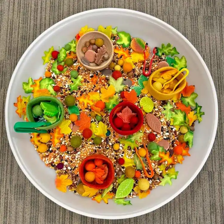 Rainbow Felt Bowls and Balls