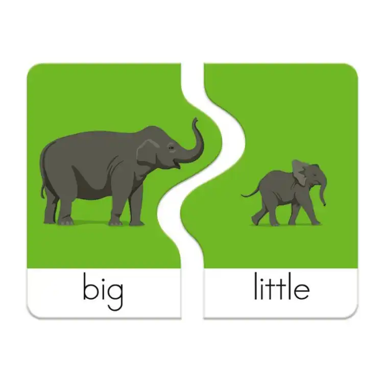 Reading Skills Puzzles: Opposites