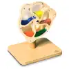 Rotating Bead Wheel
