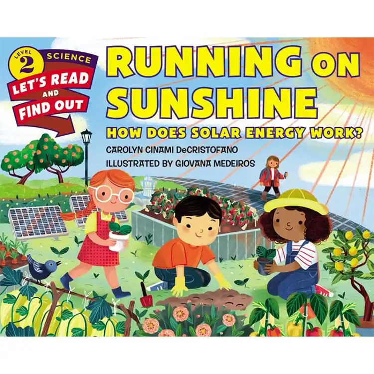 Running on Sunshine:  How Does Solar Energy Work?