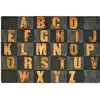 Rustic Wood Literacy Seating Rug