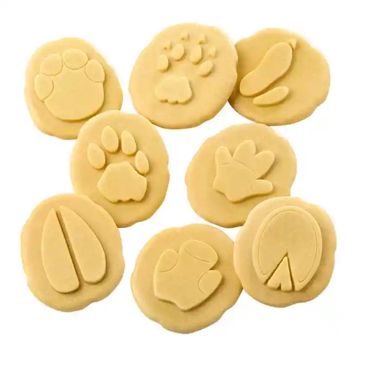 Safari Footprint Stones