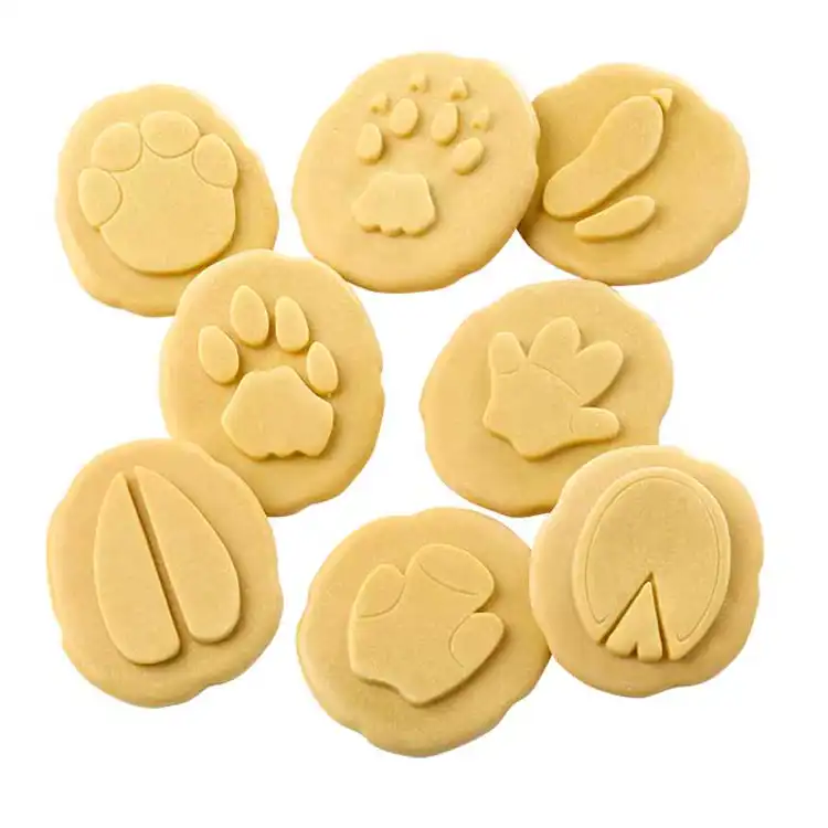 Safari Footprint Stones