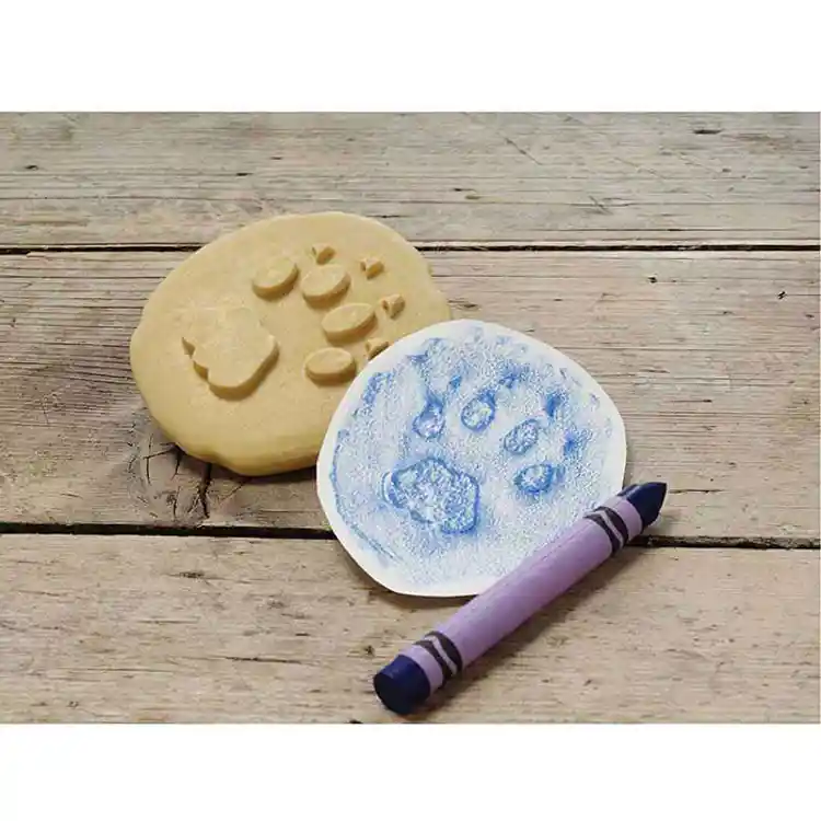 Safari Footprint Stones