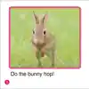 Let's Find Out Readers, Animals & Nature