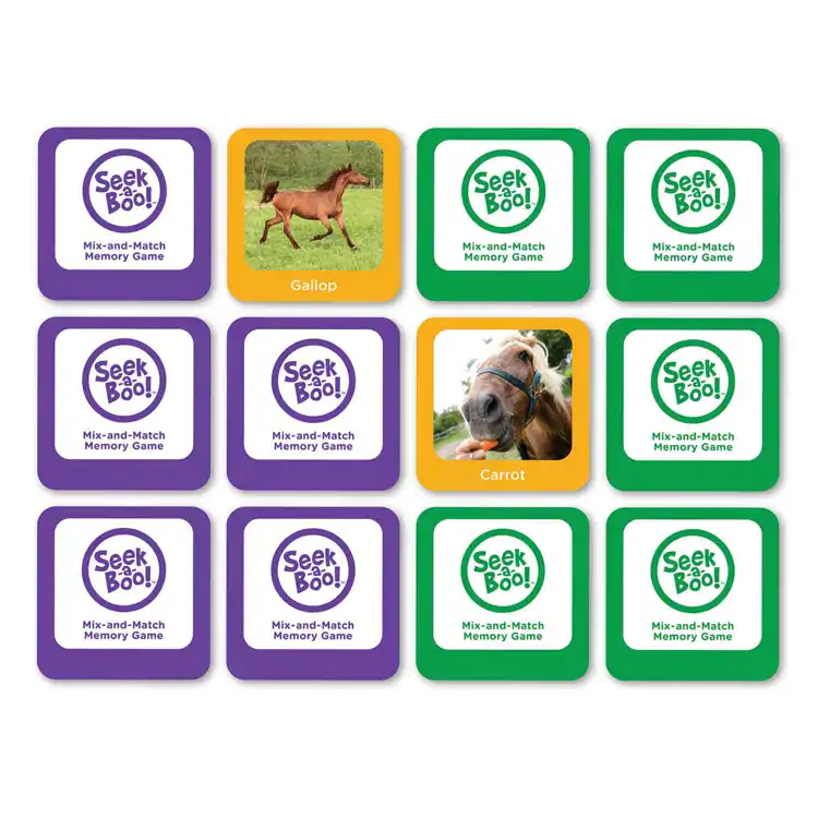 Seek-A-Boo Memory Game