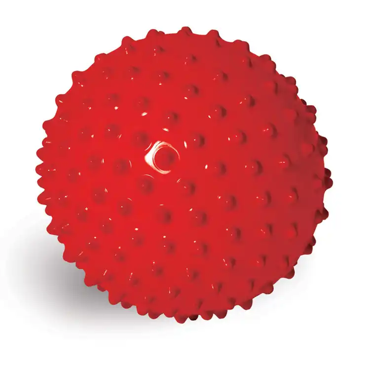 Sensory Balls Combo Pack