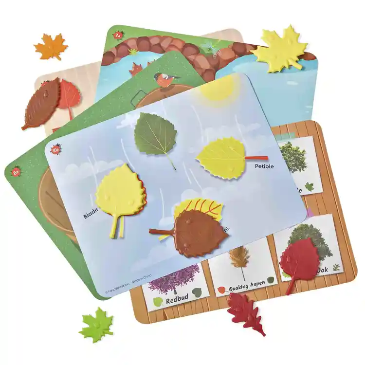 Sensory Leaves Math Activity Set