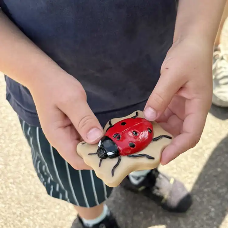 Sensory Play Stones, Bugs