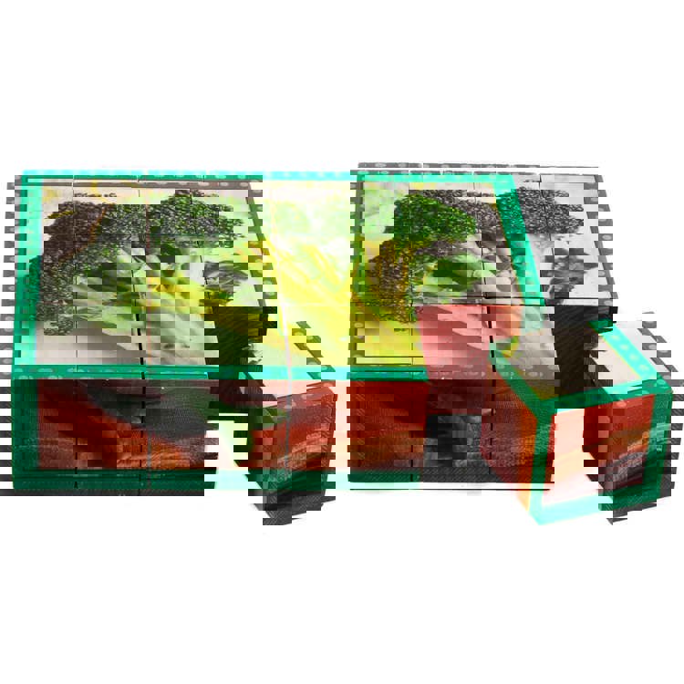 Vegetables Cube Puzzle