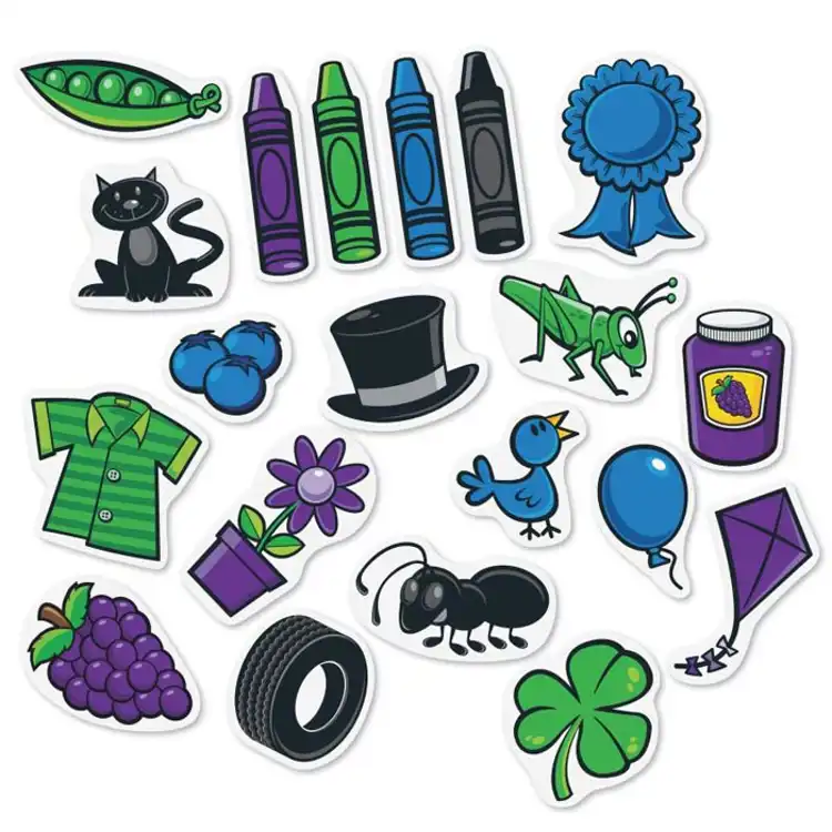 Splash of Color Magnetic Sorting Set