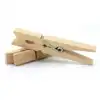Spring Clothespins