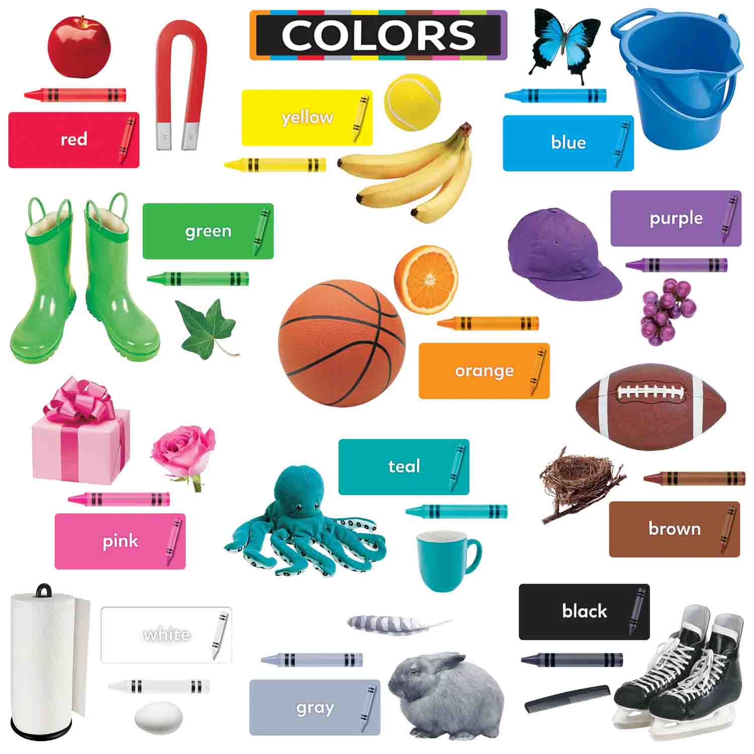 Colors All Around Us Bulletin Board Set