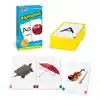 Alphabet Skill Drill Flash Cards