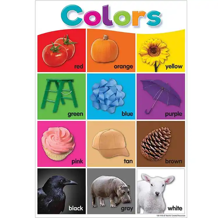 Colorful Early Learning Poster Set