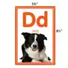 Colorful Photo Alphabet Cards Bulletin Board Set