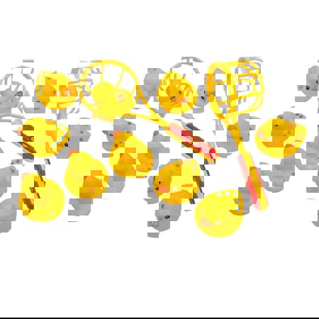 Counting Ducks