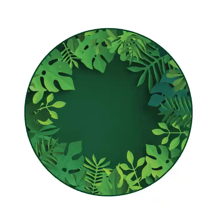 Tropical Paradise Rug, Round 6'