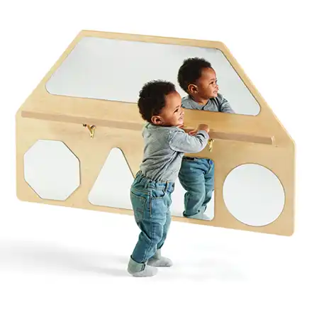 Wall Mirror Shapes with Pull-Up Bar, Exposed Hardware