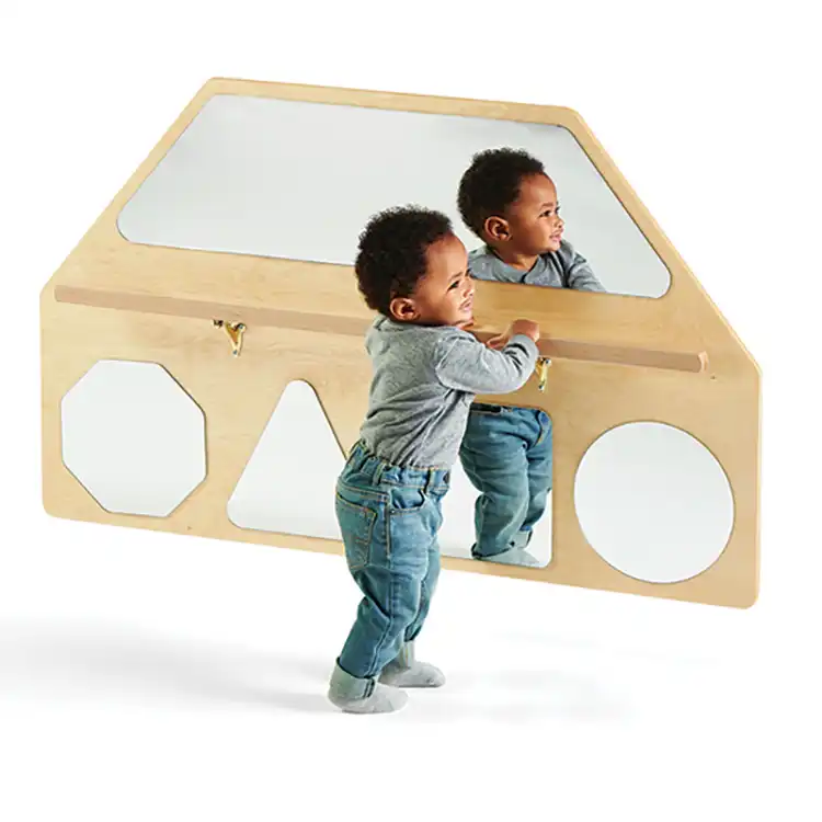 Wall Mirror Shapes with Pull-Up Bar, Exposed Hardware