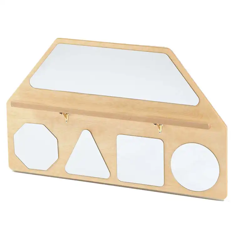 Wall Mirror Shapes with Pull-Up Bar, Exposed Hardware