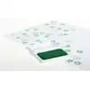 Washable Stamp Pads, Green