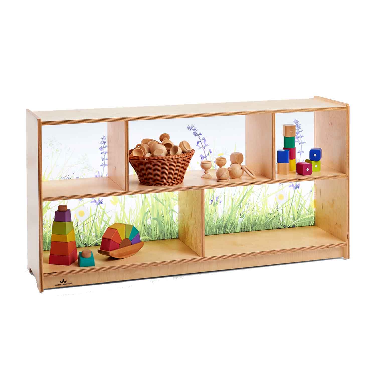 Nature View Acrylic Back Storage Cabinet 