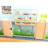 Nature View Room Divider Gate