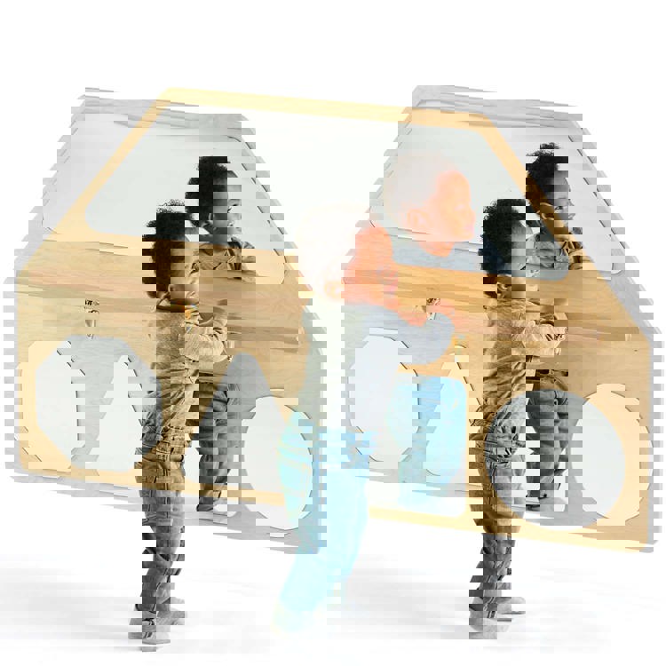 Wall Mirror Shapes with Pull-Up Bar