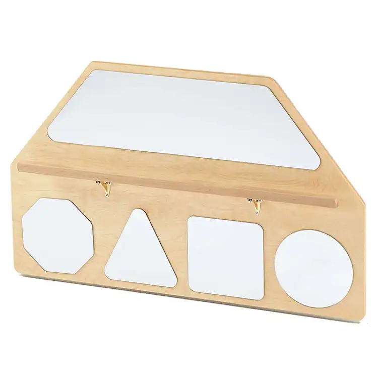 Wall Mirror Shapes with Pull-Up Bar, Hidden Hardware