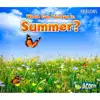 What Can You See In Summer?