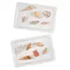 White Plastic Trays Set