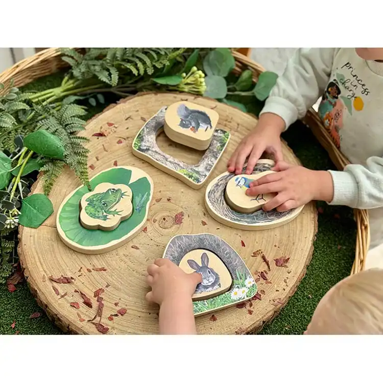 Who's Hiding? Woodland Animals