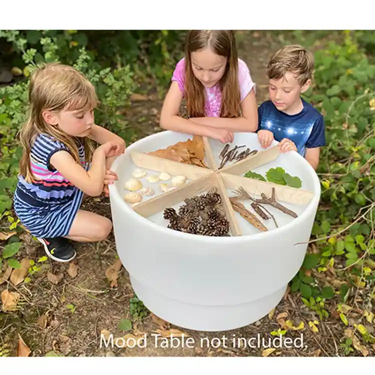 Wooden Discovery Dividers