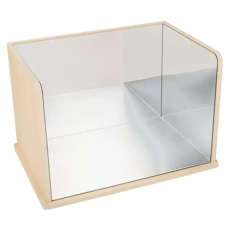 Wooden Exploratory Mirror