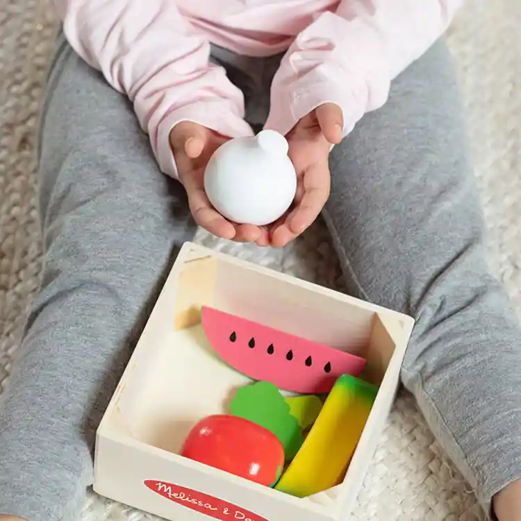 Wooden Food Groups Set