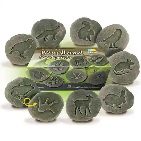 Woodland Footprint Stones