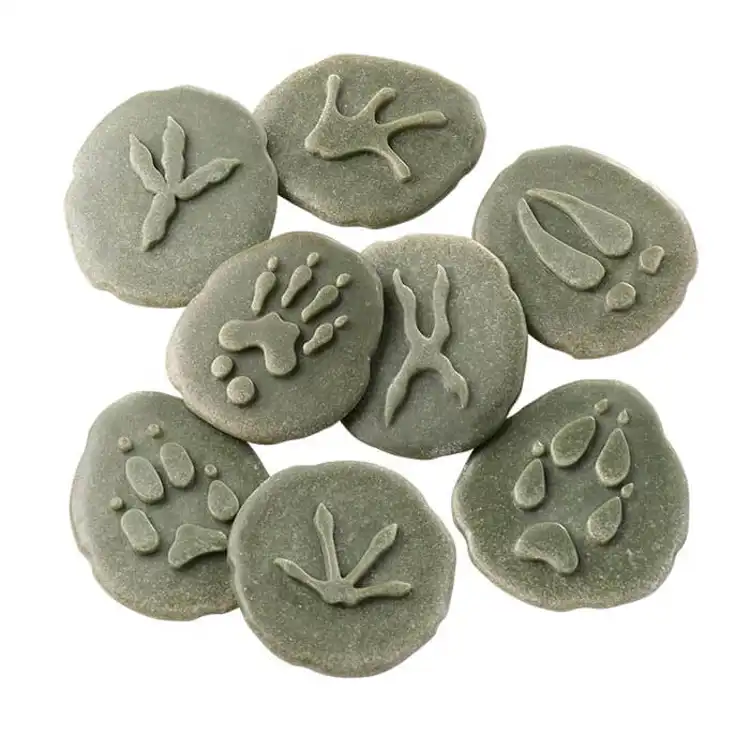 Woodland Footprint Stones